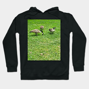 Boston Geese Hoodie